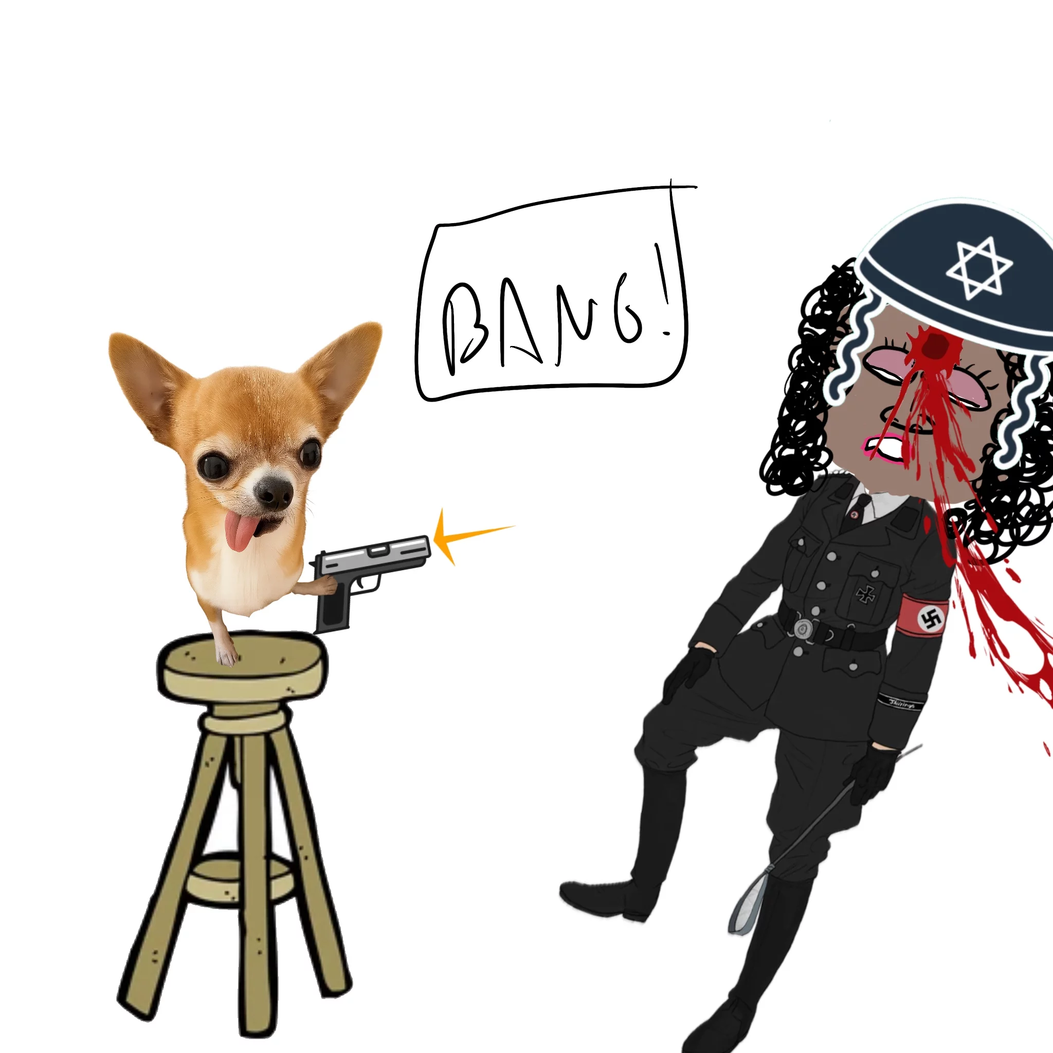 chihuahua